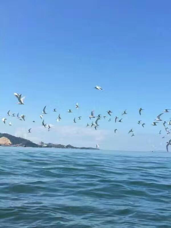 惠东巽寮湾无敌海景公寓 Экстерьер фото